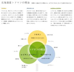 画像2: 【スズキ×エステー】　Air Forest YOWAN（エアフォレスト ヨワン） 車用エアケアキューブ（車用消臭芳香剤）